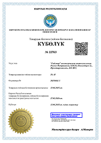 Торговые марки ГК «Старт» официально зарегистрированы на территории Казахстана, Узбекистана и Киргизии: подлинность и качество подтверждены законом!